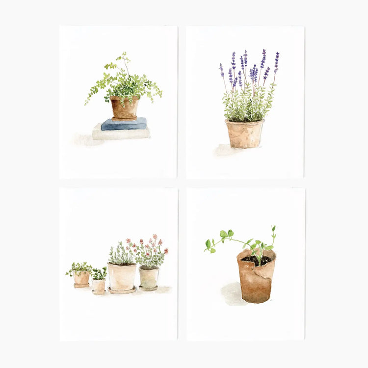 Assorted Potted Plant Notecards
