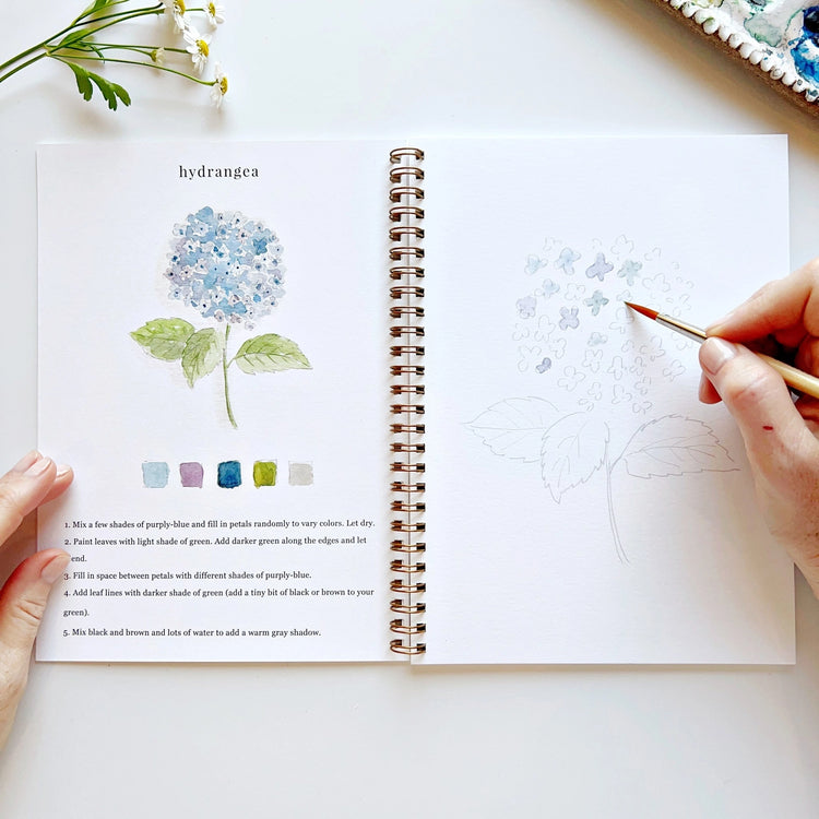 Emily Lex Watercolor Flower Workbook