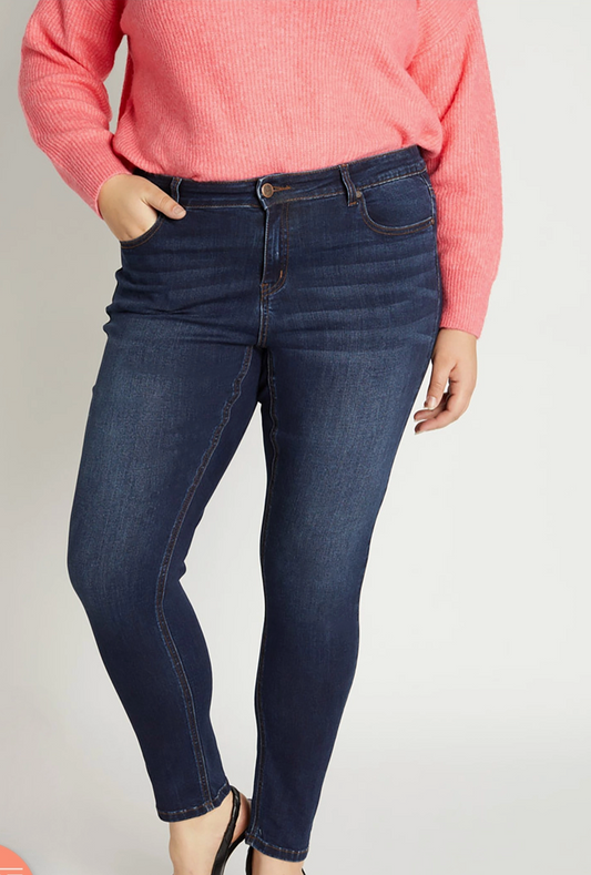 Plus High Rise Skinny Jean