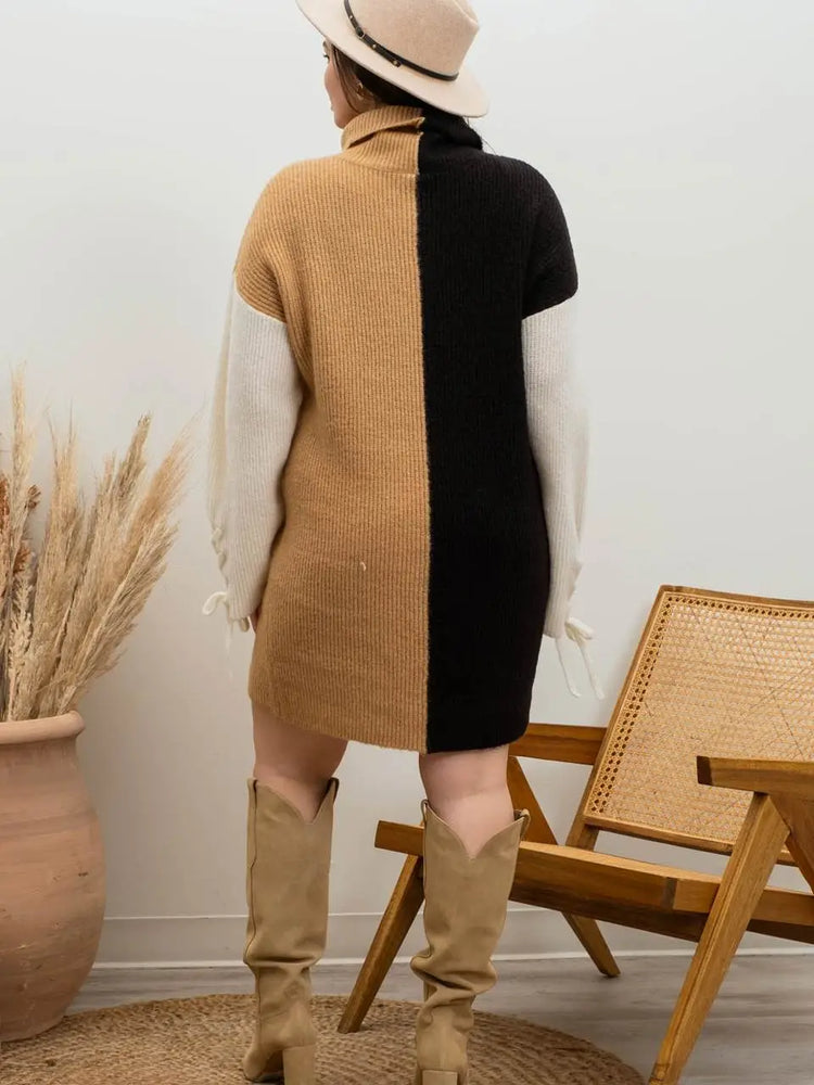 Color Block Sweater Dress Plus